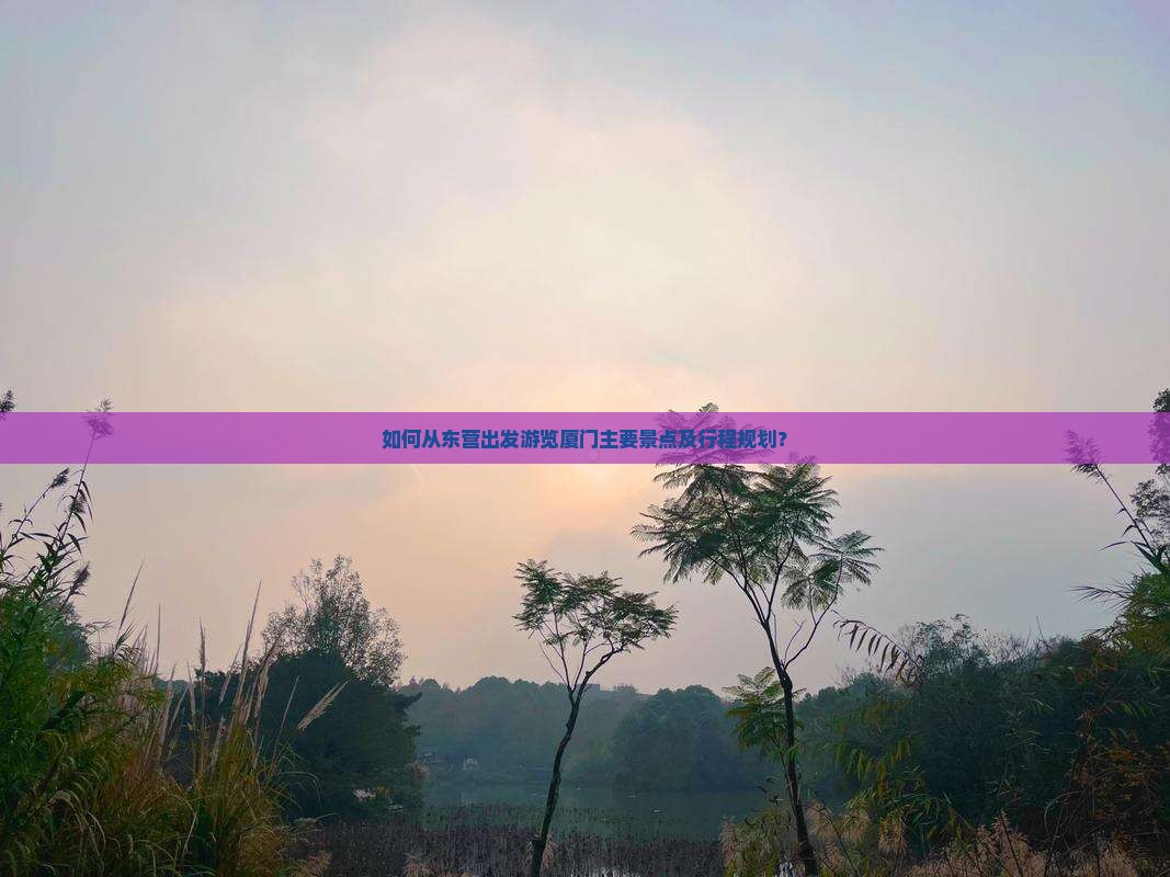 如何从东营出发游览厦门主要景点及行程规划？