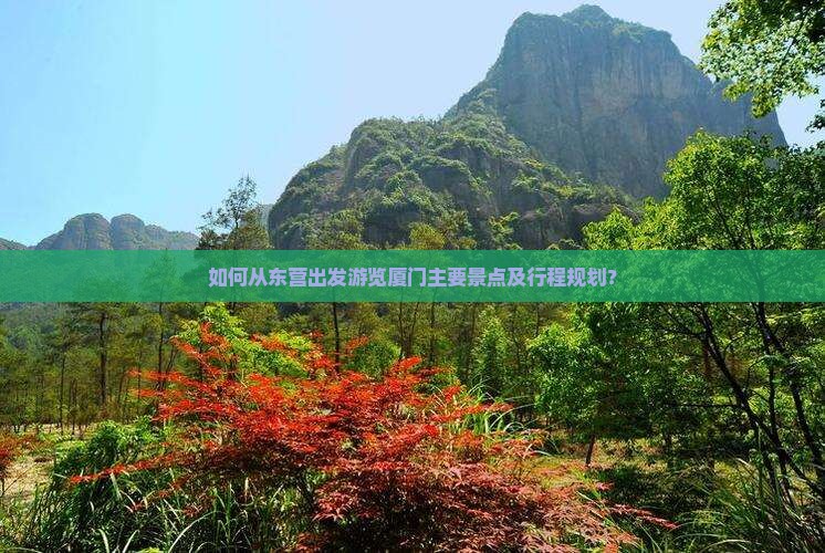 如何从东营出发游览厦门主要景点及行程规划？
