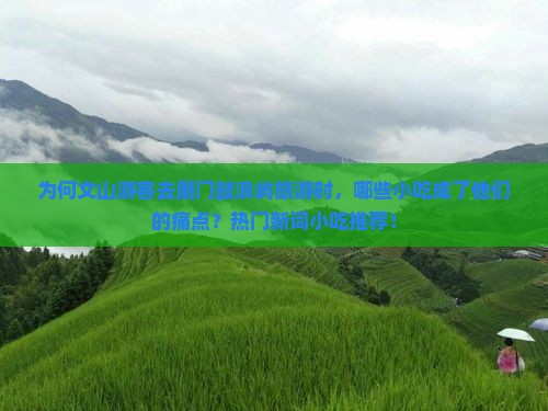 为何文山游客去厦门鼓浪屿旅游时，哪些小吃成了他们的痛点？热门新词小吃推荐！