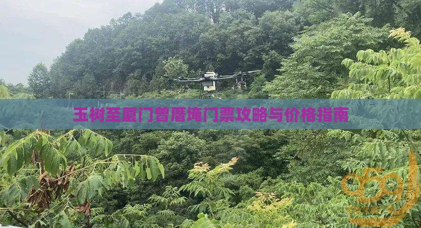 玉树至厦门曾厝埯门票攻略与价格指南