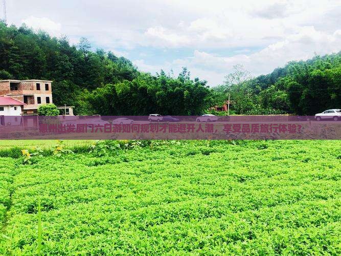 惠州出发厦门六日游如何规划才能避开人潮，享受品质旅行体验？