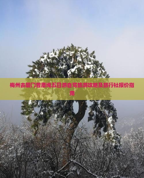 梅州去厦门曾厝埯五日游自驾旅游攻略及旅行社报价指南