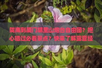 陇南到厦门胡里山炮台自由团？担心错过必看景点？快来了解露营经济与乡村旅游新趋势