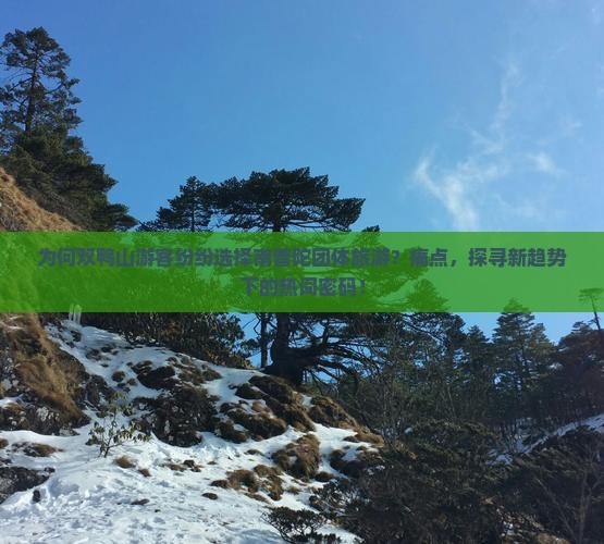 为何双鸭山游客纷纷选择南普陀团体旅游？痛点，探寻新趋势下的热词密码！