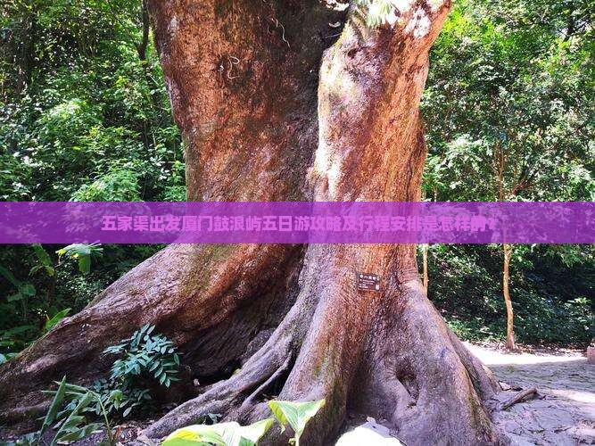 五家渠出发厦门鼓浪屿五日游攻略及行程安排是怎样的？