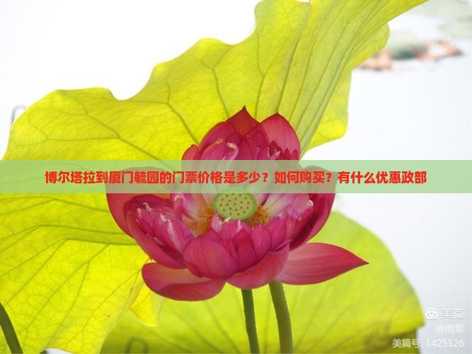 博尔塔拉到厦门毓园的门票价格是多少？如何购买？有什么优惠政部
