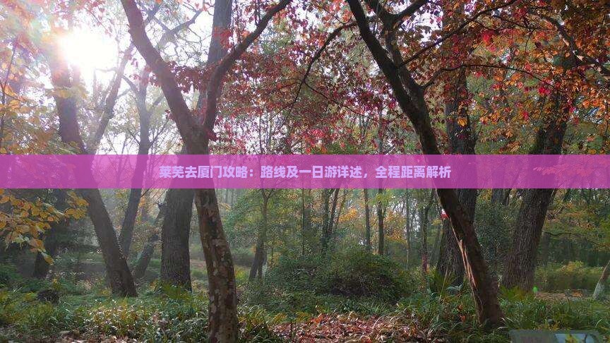 莱芜去厦门攻略：路线及一日游详述，全程距离解析