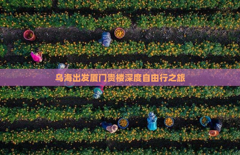 乌海出发厦门贵楼深度自由行之旅