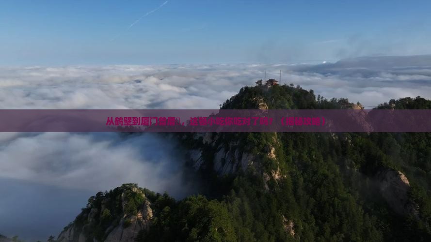 鹤壁去厦门曾厝埯旅游小吃