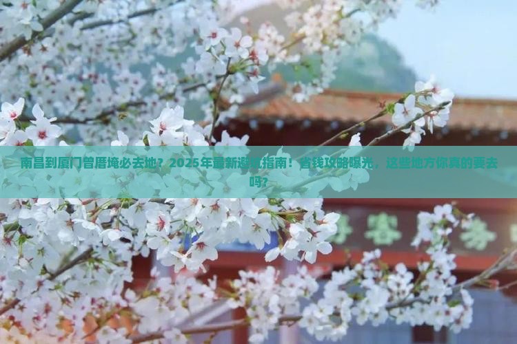 南昌到厦门曾厝埯必去地