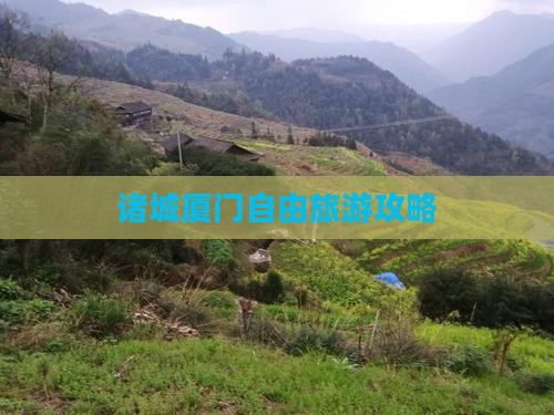 诸城去厦门自由团