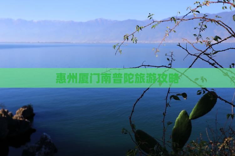 惠州去厦门南普陀旅游