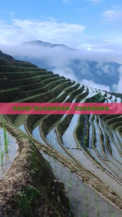 娄底到厦门菽庄花园大型旅游团
