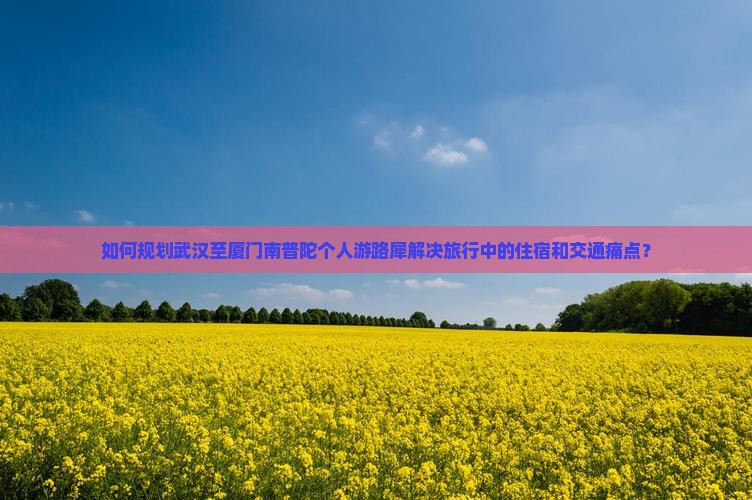如何规划武汉至厦门南普陀个人游路犀解决旅行中的住宿和交通痛点？