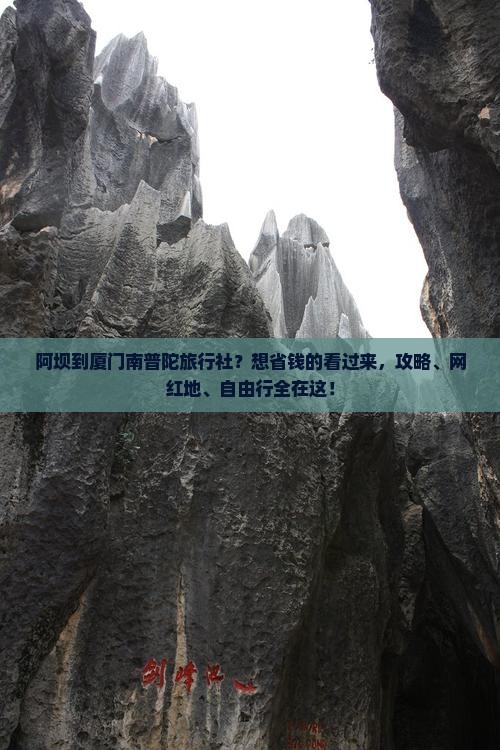 阿坝到厦门南普陀旅行社？想省钱的看过来，攻略、网红地、自由行全在这！