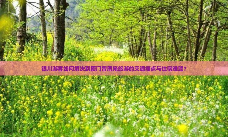 银川游客如何解决到厦门曾厝埯旅游的交通痛点与住宿难题？