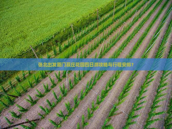 张北出发厦门菽庄花园四日游攻略与行程安排？