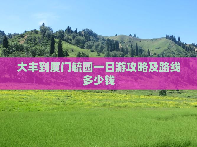 大丰到厦门毓园一日游攻略及路线多少钱