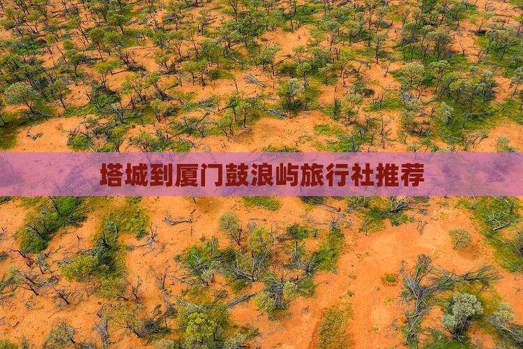 塔城到厦门鼓浪屿旅行社推荐