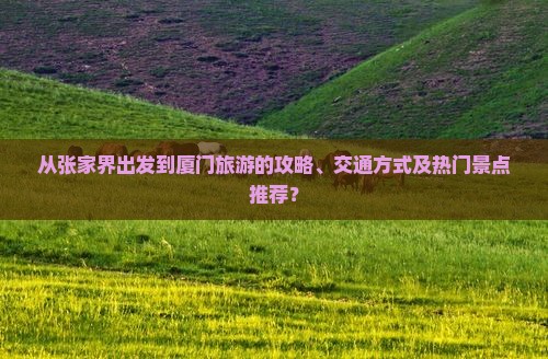 从张家界出发到厦门旅游的攻略、交通方式及热门景点推荐？