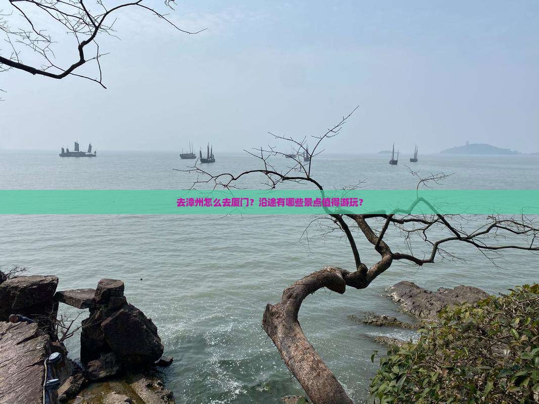去漳州怎么去厦门？沿途有哪些景点值得游玩？