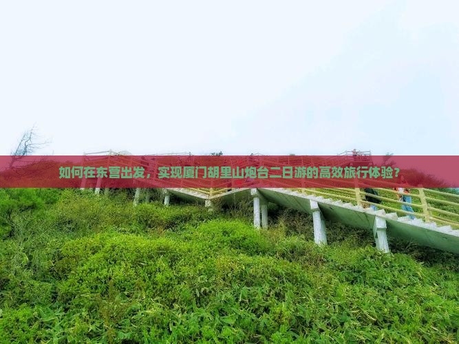 如何在东营出发，实现厦门胡里山炮台二日游的高效旅行体验？
