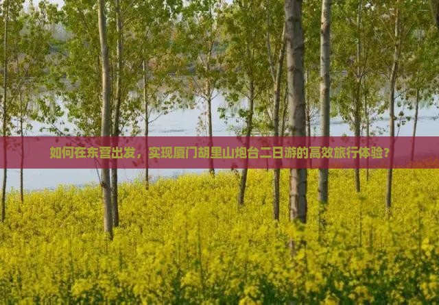 如何在东营出发，实现厦门胡里山炮台二日游的高效旅行体验？