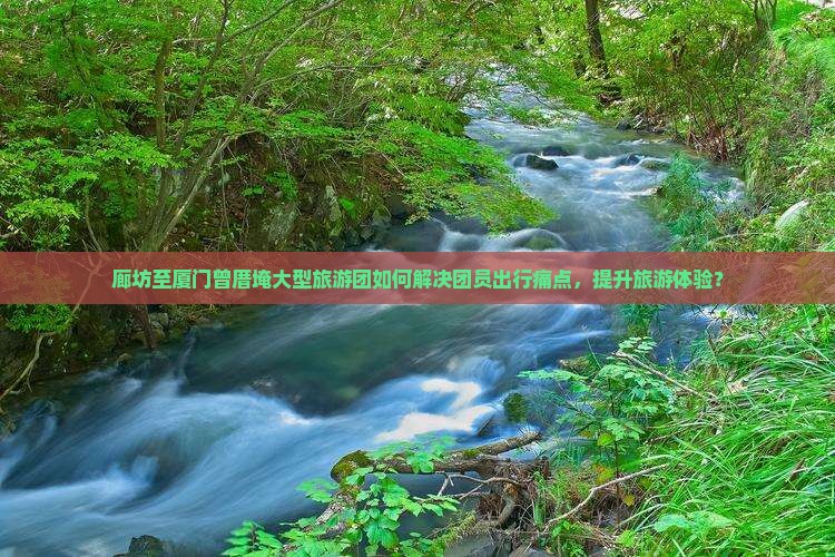 廊坊至厦门曾厝埯大型旅游团如何解决团员出行痛点，提升旅游体验？