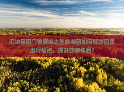 廊坊至厦门曾厝埯大型旅游团如何解决团员出行痛点，提升旅游体验？