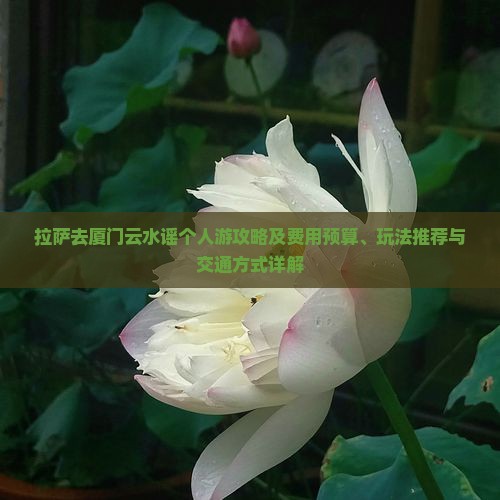 拉萨去厦门云水谣个人游攻略及费用预算、玩法推荐与交通方式详解 拉萨去厦门云水谣个人游攻略及费用预算、玩法推荐与交通方式详解