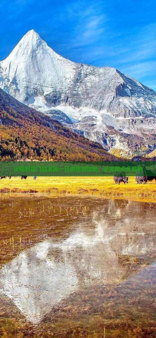 庆阳到厦门鼓浪屿一日游旅游攻略，必去景点全解析