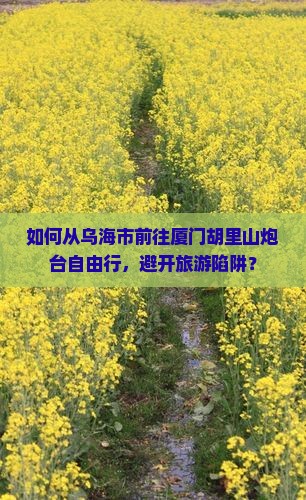 如何从乌海市前往厦门胡里山炮台自由行，避开旅游陷阱？