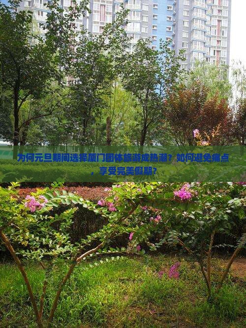为何元旦期间选择厦门团体旅游成热潮？如何避免痛点，享受完美假期？
