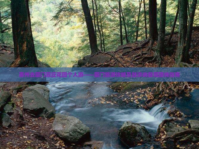 惠州去厦门菽庄花园个人游——厦门旅游攻略及鼓浪屿最简路线指南
