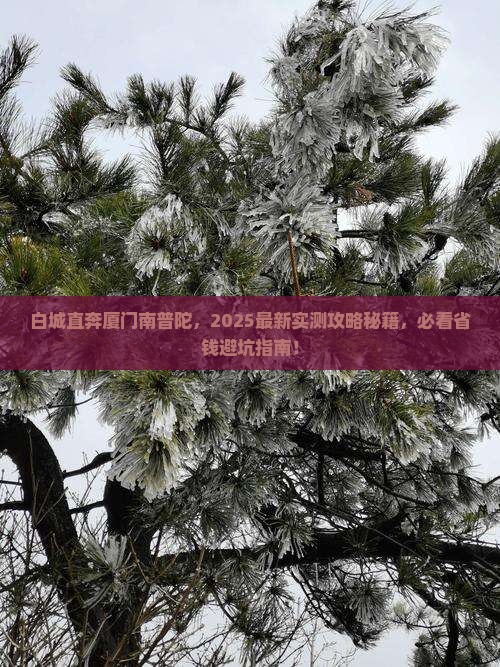 白城去厦门南普陀景点
