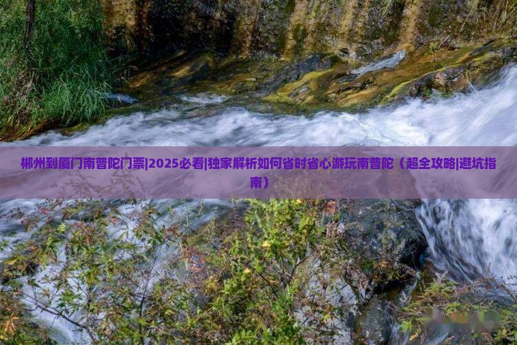郴州到厦门南普陀门票