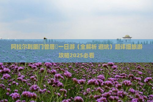 阿拉尔到厦门曾厝埯一日