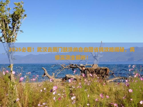 武汉去厦门鼓浪屿自由团