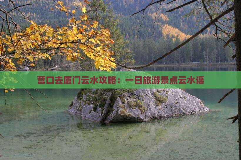 营口去厦门云水谣一日