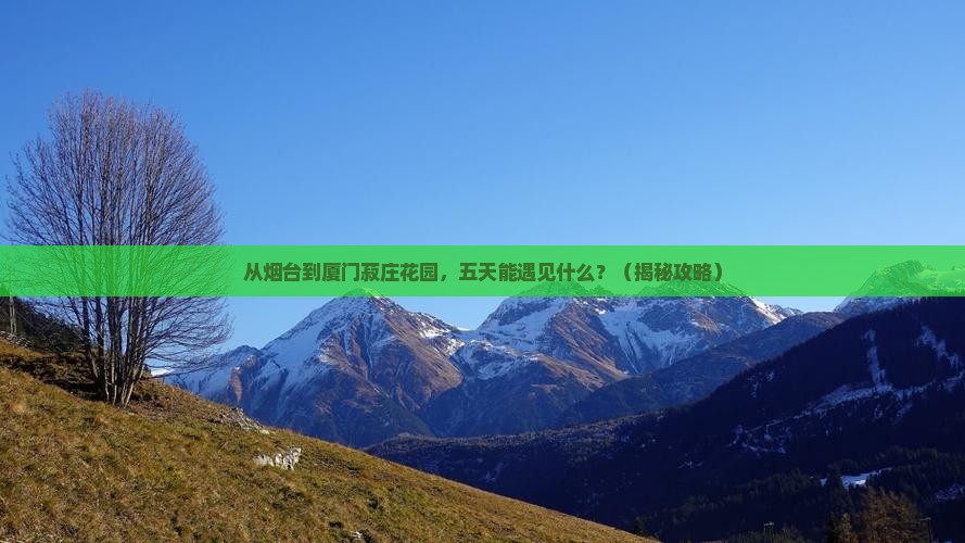 烟台去厦门菽庄花园五日游