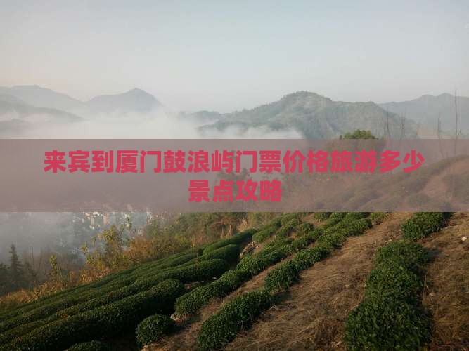 来宾到厦门鼓浪屿门票