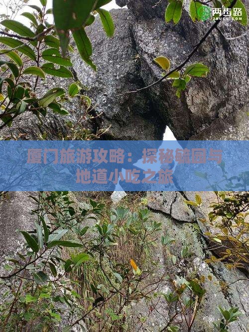 韶关去厦门毓园旅游小吃