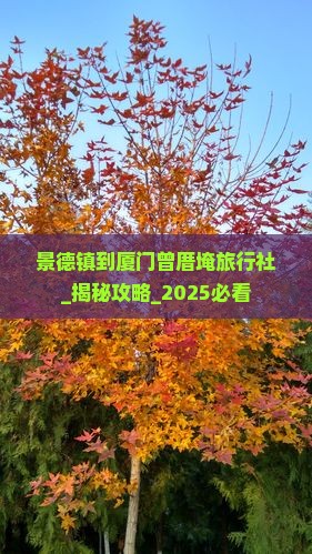 景德镇到厦门曾厝埯旅行社