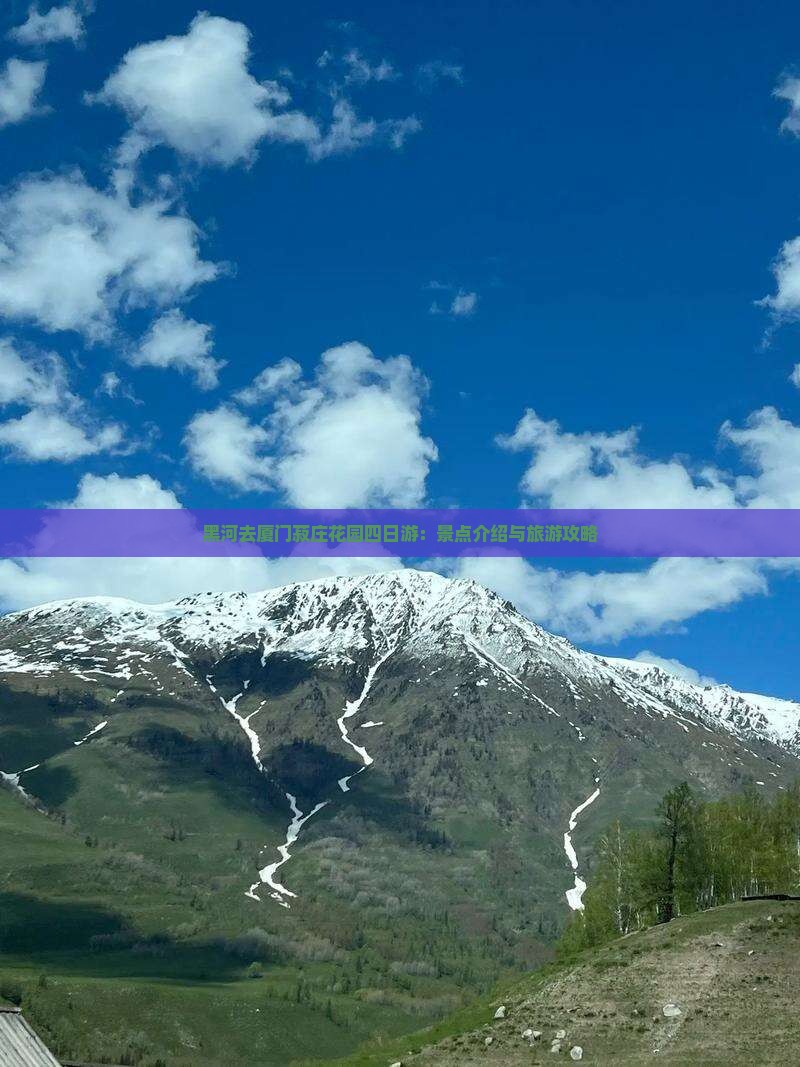 黑河去厦门菽庄花园四日游：景点介绍与旅游攻略