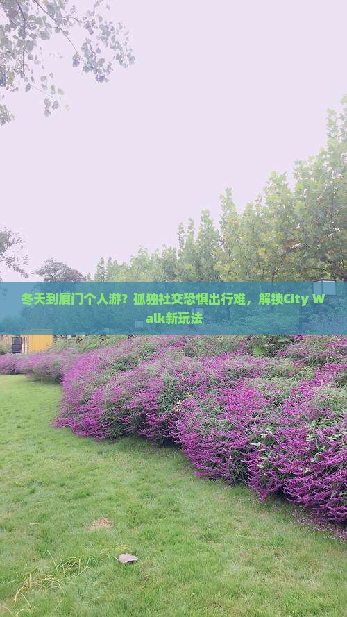 冬天到厦门个人游？孤独社交恐惧出行难，解锁City Walk新玩法