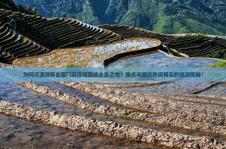 为何河源游客去厦门菽庄花园成必去之地？痛点与潮流热词背后的旅游奥秘！