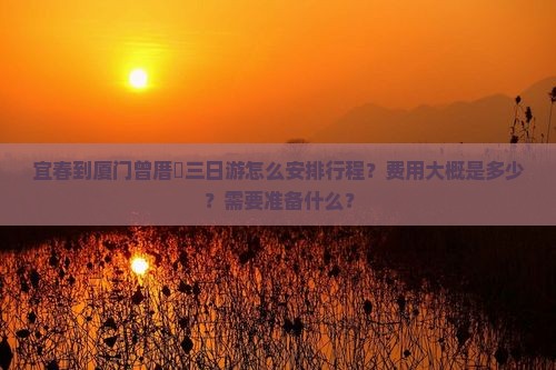 宜春到厦门曾厝垵三日游怎么安排行程？费用大概是多少？需要准备什么？