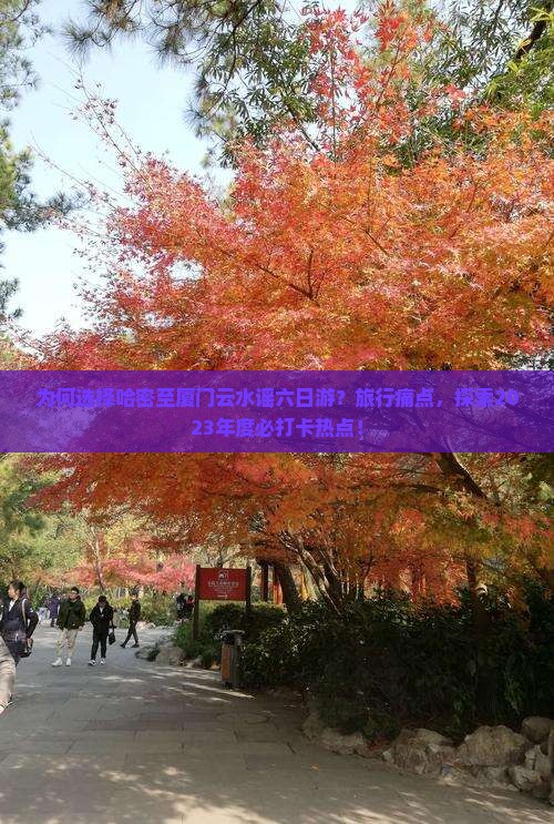 为何选择哈密至厦门云水谣六日游？旅行痛点，探索2023年度必打卡热点！