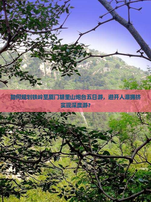 如何规划铁岭至厦门胡里山炮台五日游，避开人潮拥挤实现深度游？