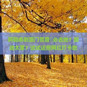 阿勒泰到厦门曾厝垵必去地?旅途太累?试试这些网红打卡地! 阿勒泰到厦门曾厝垵必去地?旅途太累?试试这些网红打卡地!